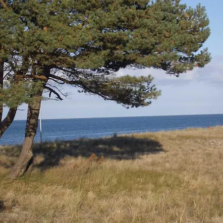 Boddenkieker * Fuhlendorf (Mecklenburg-Vorpommern)